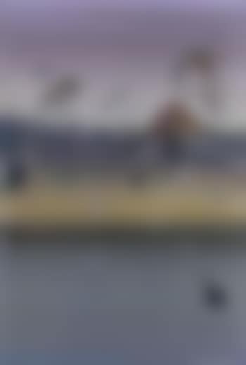 Shoalhaven with Swan (preview)