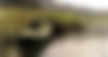 Pecheur au bord de l'etang (preview)
