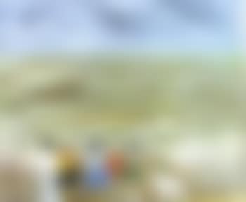 Enfants et chien sur la plage (preview)
