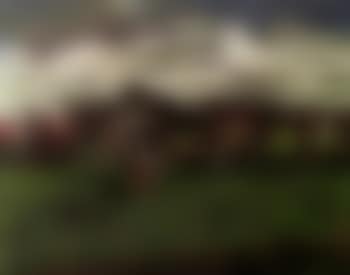 Paysage aux saules (preview)
