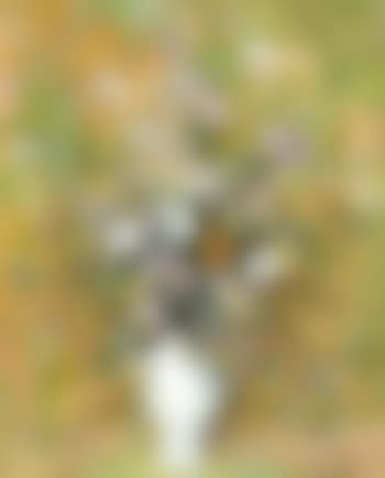 Still life with flowers (preview)