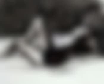 Portrait of Marta Marzotto (preview)