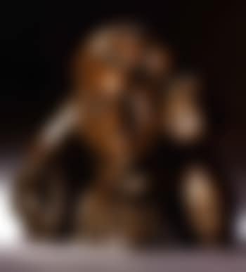 Tete de Marguerite (preview)