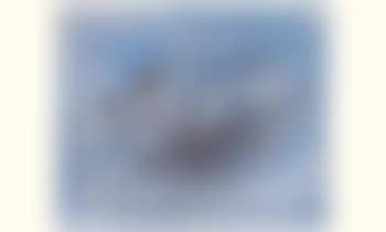 Composition (preview)