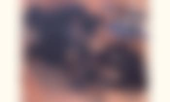 Opus 95D (preview)