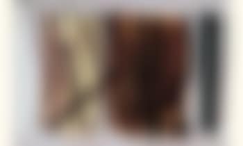 T-1951-20 (preview)