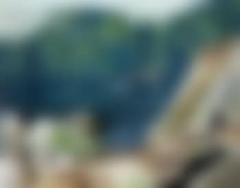Summer morning (preview)
