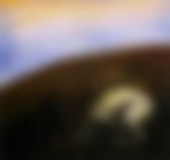 Nebuchadnezzar (preview)