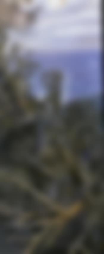 Canyon Gorge from Springrook (preview)