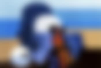 Untitled (preview)