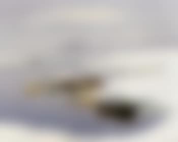 View of the water in winter (preview)