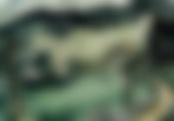 Forest and hill landscape (preview)