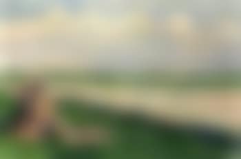Veld met hooimijt (preview)