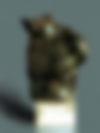 Bust of the heart (preview)