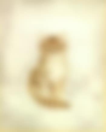 Chatton (preview)