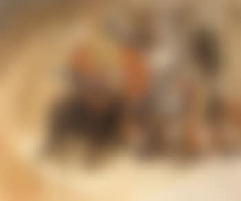 Reve tauromachique (preview)