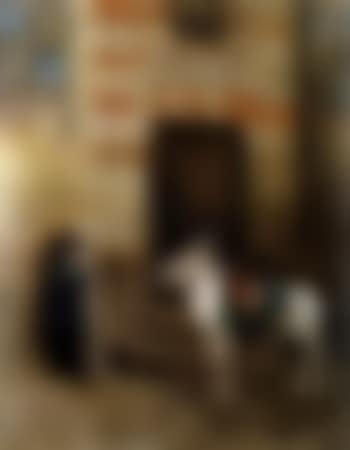 Garcon et son ane (preview)