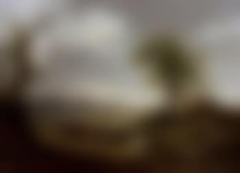 View of the Valley of Ariccia, with cows in the foreground (preview)