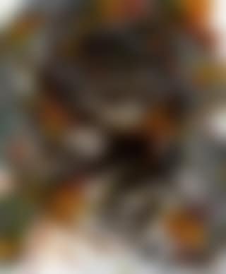 Untitled (preview)