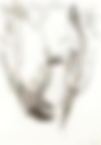 Eagle (preview)