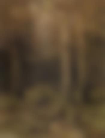 Forest landscape (preview)
