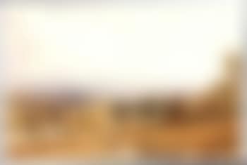 Lone figure in a cornfield overlooking a valley (preview)