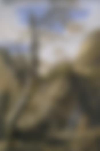 Rocky landscape (preview)