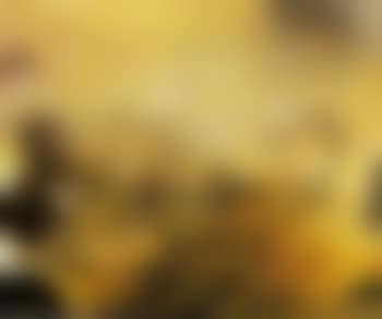 Composition (preview)