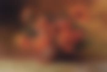 Still life with poppies (preview)