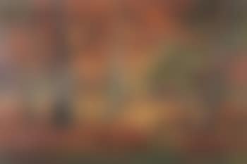 Autumn woodland scene (preview)