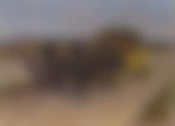 Post coach pulled by two black horses with Alps in background (preview)