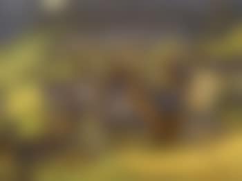 View of Zoppe' di Cadore (preview)