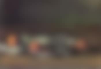 Still life of fruit (preview)