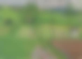 Spring landscape (preview)