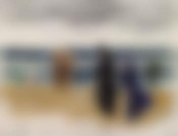 Heringsdorf beach (preview)
