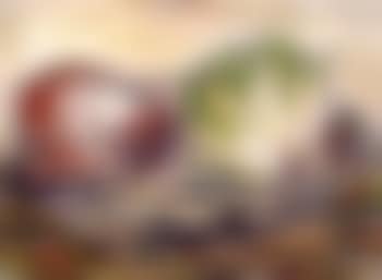 Cabbage and endives I (preview)