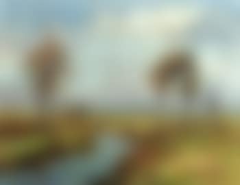 Landscape near Worpswede (preview)