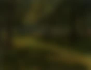Sun streaming through the forest at Weyerberg (preview)
