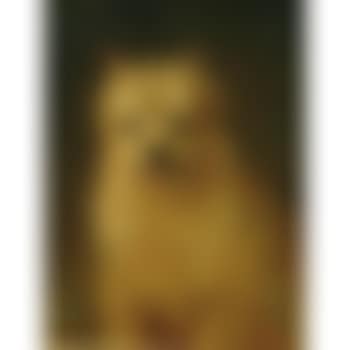 Whittredge's dog (preview)