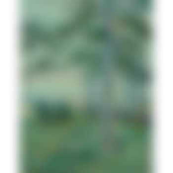 Long Island landscape (preview)