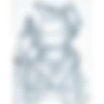 Still life (preview)