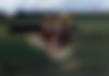 Horse racing (preview)