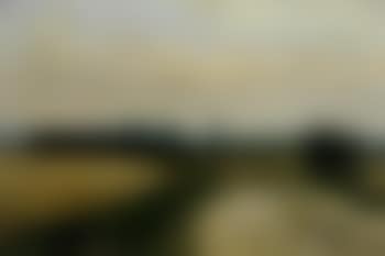 Summer landscape (preview)