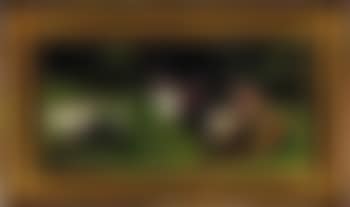 Poultry (preview)
