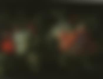 Fruit (preview)