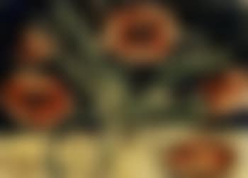 Red poppies in vase (preview)