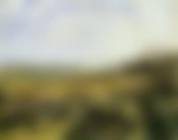 Summer landscape in the Pfalz (preview)