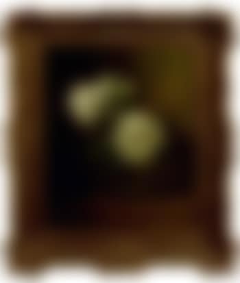 Still life of white roses (preview)