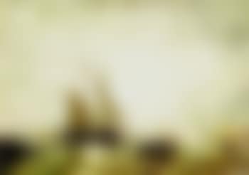 Venise, la lagune (preview)
