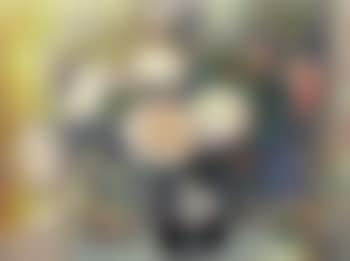 Les pivones (preview)